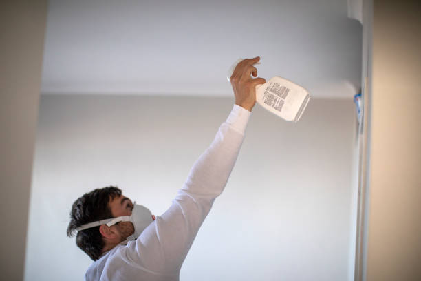 Best Mold Remediation Services  in New Tazewell, TN