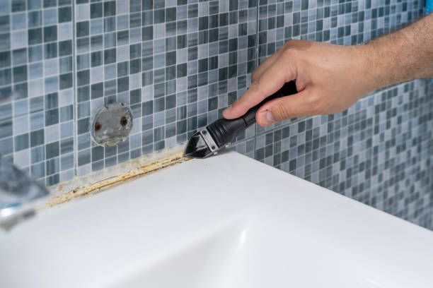 Best Residential Mold Removal  in New Tazewell, TN